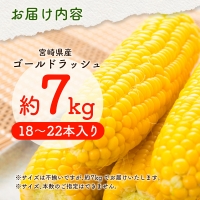 宮崎県産 ゴールドラッシュ 約7kg（18～22本入り）［先行予約］