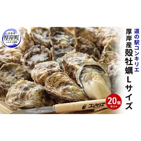 ふるさと納税 厚岸産 殻牡蠣 Lサイズ 20個 セットカキ 牡蠣 北海道厚岸町