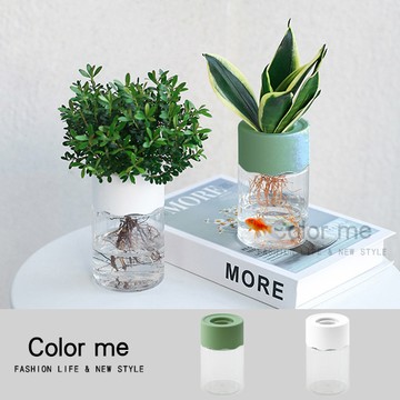 水培盆 盆栽 塑料花盆 圓形器皿 裝飾品 植物盆 吸水花盆 魚缸 懶人 日系水耕盆栽【R055】Color me