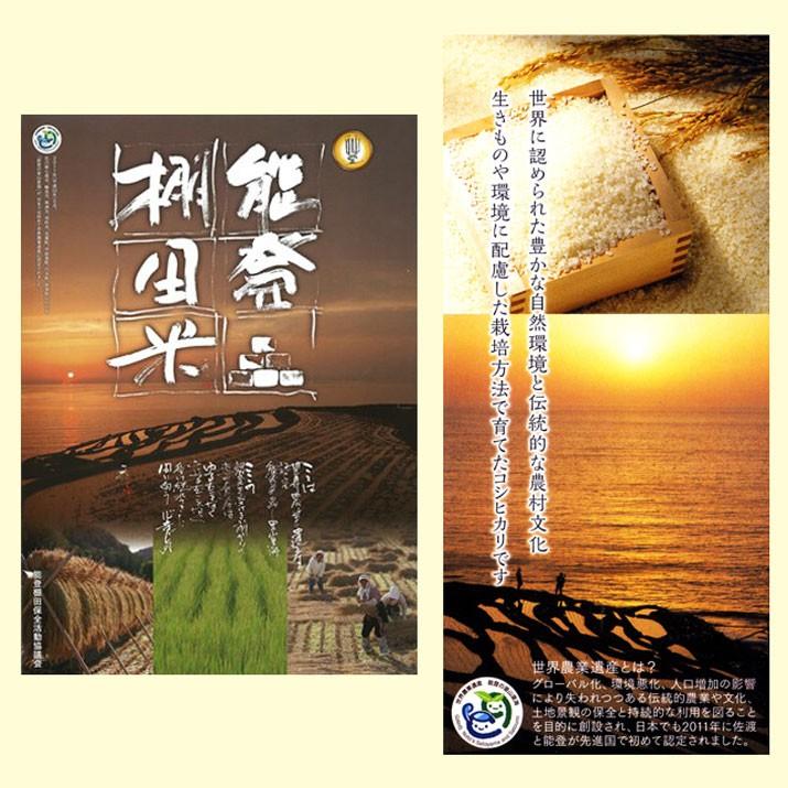 新米 令和5年産 特別栽培米 5kg 石川県産 奥能登 棚田 コシヒカリ 玄米 白米 7分づき 5分づき 3分づき 分づき米 出荷日精米 送料無料 米 お米