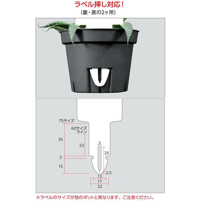 Sポット 丸型75 白 ラベル挿し対応 ポット 鉢 コンパクト 多肉植物 日本ポリ鉢販売 タS