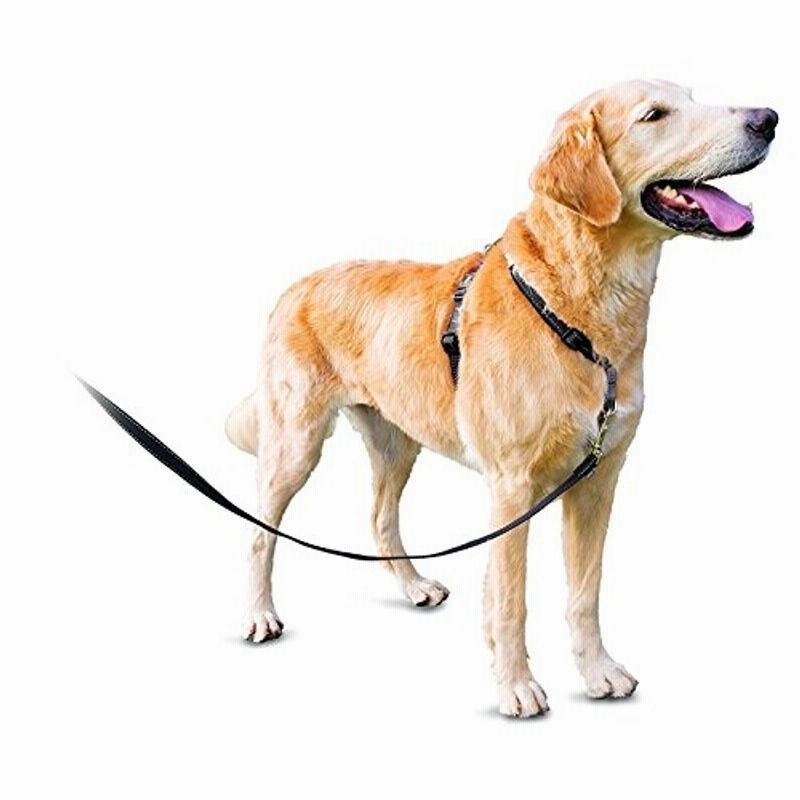 Petsafe 3 In 1 犬 ハーネス 大型犬 引っ張り防止 調整簡単 抜けない 耐久性が高い 夜間反射 車の中で安全 L ブラック 通販 Lineポイント最大0 5 Get Lineショッピング