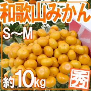 ”和歌山みかん” 秀品 S～Mサイズ 約10kg 送料無料