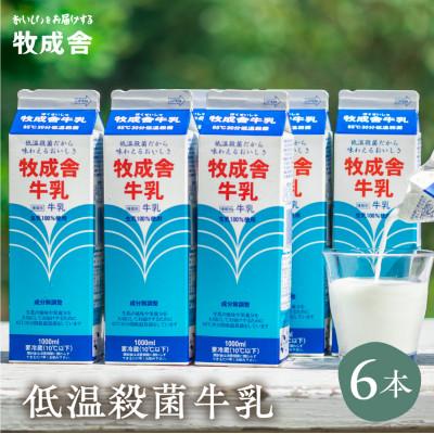 ふるさと納税 飛騨市 ＜牧成舎＞明治30年創業の牛乳屋、こだわり低温