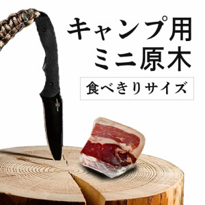 お試し サイズ 生ハム ミニ原木 約200g 食べ切りサイズ キャンプ 冷蔵 アンダルシアポーク 無添加 ブロック 骨なし おつまみ プチ ギフト