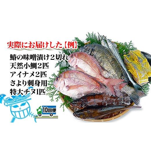 ふるさと納税 香川県 坂出市 創業100年の魚屋さんが選び抜いた旨い鮮魚直送便〜