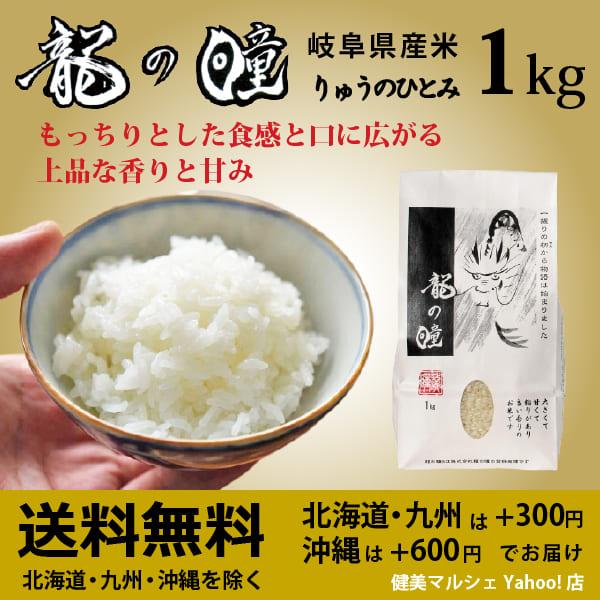 新米入荷 龍の瞳 1kg 令和5年産米 岐阜県産 白米  送料無料 一部地域除く