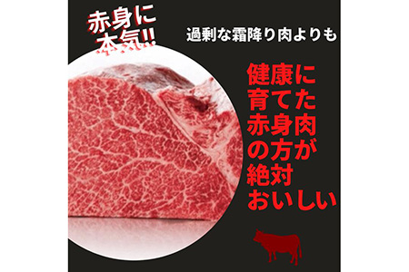 京都いづつ屋 厳選 亀岡牛 赤身 すき焼き用 300g×2パック（計600g）≪訳あり コロナ支援 和牛 牛肉 冷凍 すき焼き ふるさと納税牛肉≫