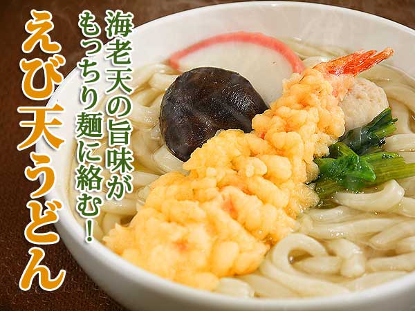 冷凍食品 お弁当 弁当 食品 食材 おかず 惣菜 業務用 家庭用 うどん えび天うどん