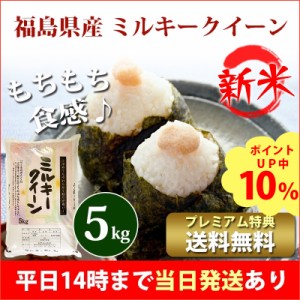 新米 米 5kg 福島県産 ミルキークイーン 1等米 令和5年産 お米 5kg プレミアム特典 送料無料 北海道・沖縄配送不可 即日発送 クーポン対