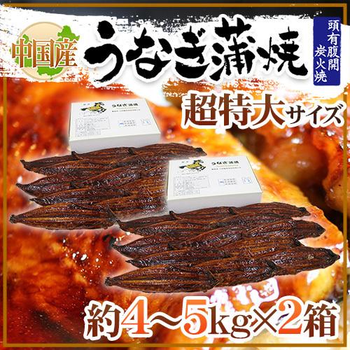 ”うなぎ蒲焼” 約8〜10kg（約4〜5kg×2箱） 中国産 ウナギ 鰻 有頭腹開 送料無料