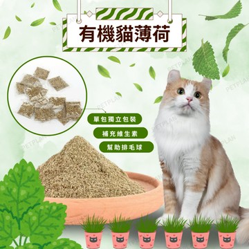 ☀️貓狗市集☀️ 有機貓薄荷 木天蓼  貓草 野生木天蓼 蟲癭果實 有機貓薄荷