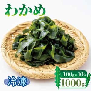 ふるさと納税 塩蔵わかめ 1kg 冷凍 塩蔵ワカメ 小分け 海藻 冷凍わかめ 三陸わかめ 塩蔵ワカメ 小分けワカメ 岩手県大船渡市