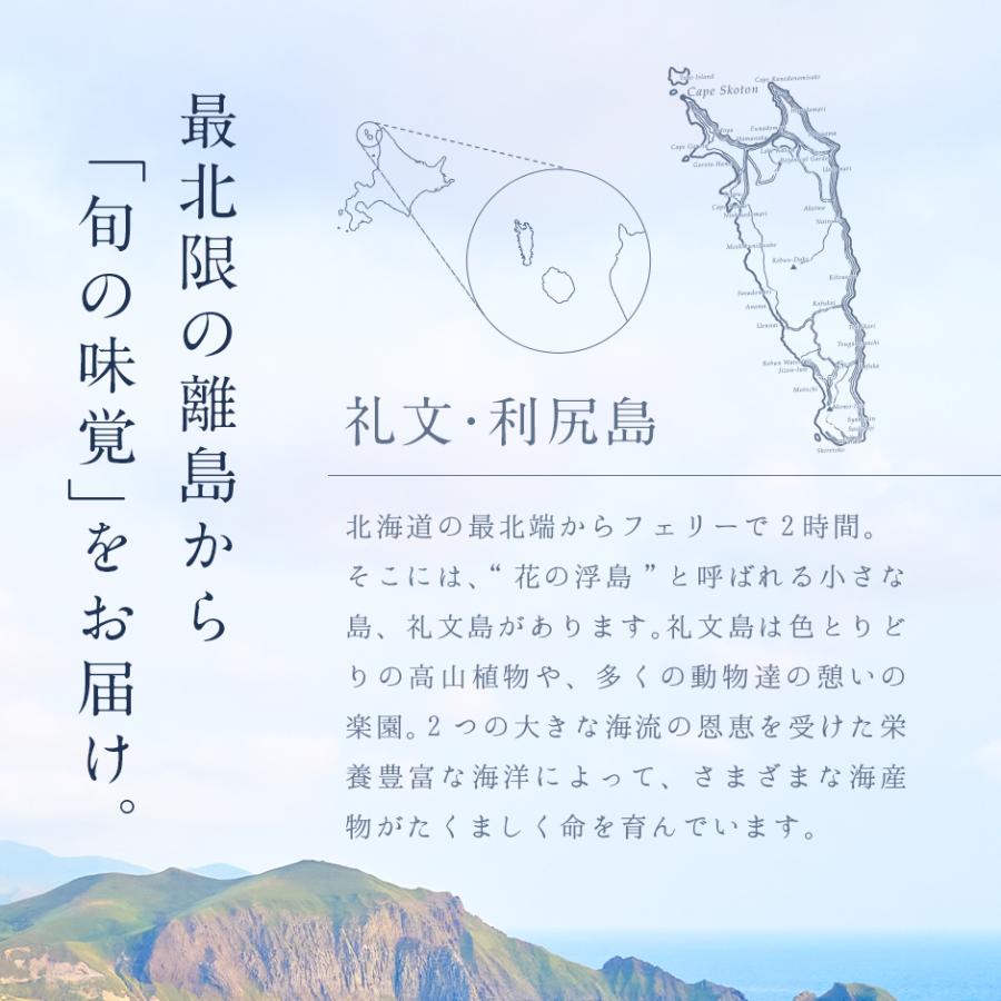 あわび 活 礼文 利尻島産 活エゾアワビ S〜Mサイズ 300g 4〜5個 送料無料 北海道 お土産 お取り寄せ あわび 貝 活