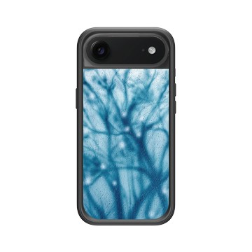 iPhone Air Mod NX -邊框背蓋組合 (相機按鈕) 黑 - Daniel Kowacki - MOMI｜冬天的樹