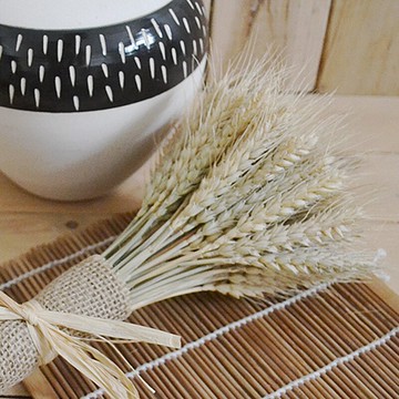 天然麥穗干花花束開業大麥客廳裝飾禮品拍攝道具干花插花真花麥子1入