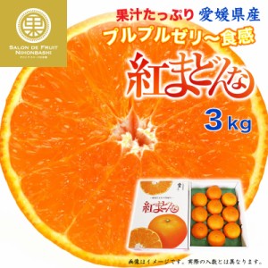 [予約 12月1日-12月30日の納品] 紅まどんな 3kg 愛媛県 化粧箱 冬ギフト お歳暮 御歳暮