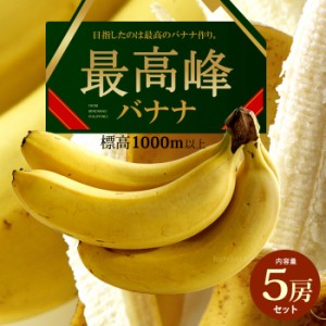 最高峰バナナ (約700g×5袋) フィリピン産 バナナ ばなな banana 高糖度 甘い もっちり ミンダナオ島 標高1000m以上 高地栽培 高級 食品