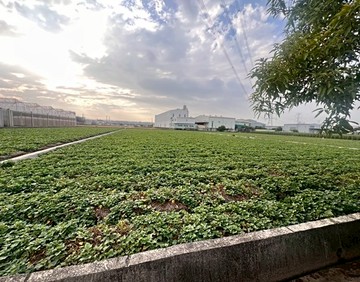 烏日~北里段方正農地面寬約21米｜台中市烏日區北里段