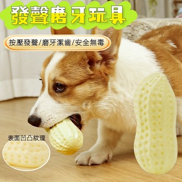 [台灣出貨]磨牙發聲TPR橡膠玩具磨牙玩具耐咬玩具狗玩具潔牙玩具花生啃咬玩具