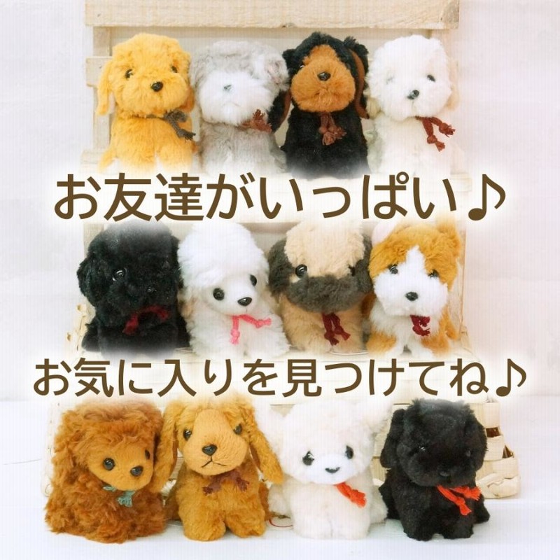 Amazon.co.jp: TigerTaleToys (タイガーテールトイズ