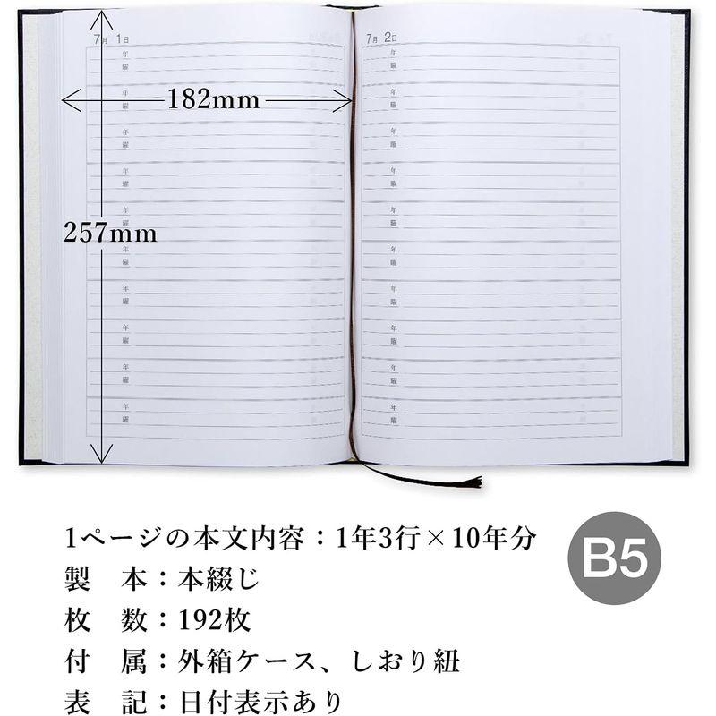 アピカ 日記帳 10年日記 横書き B5 日付け表示あり D305