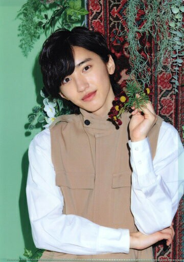 道枝駿佑(浪花男子)A4透明文件夾21夏JohnnysISLAND STORE