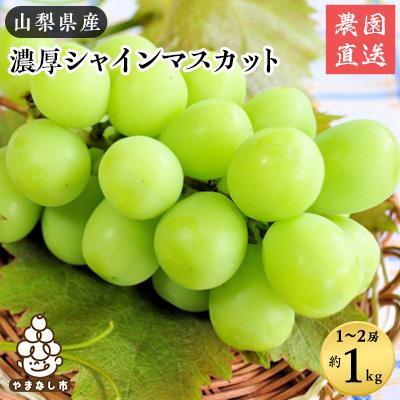 ふるさと納税 山梨市 農園直送!濃厚シャインマスカット　約1kg(1〜2房入り) ふるさと納税