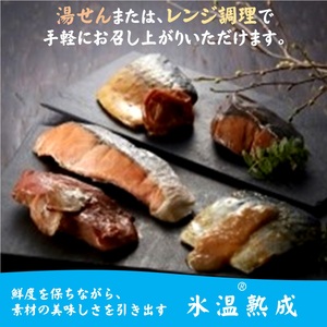 〈山陰大松〉氷温熟成　煮魚・焼魚ギフトセット１０切　ｾｲﾎﾞIN-100