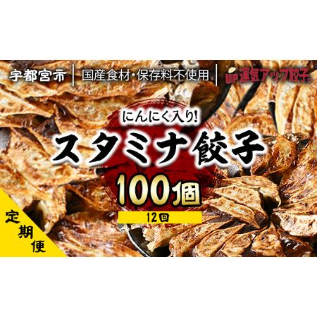 ふるさと納税 『定期便』宇都宮餃子　ニンニクマシマシスタミナ餃子100個　保存料不使用　全12回 栃木県宇都宮市