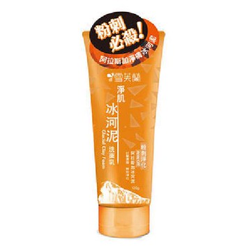 雪芙蘭 淨肌冰河泥洗面乳-粉刺淨化(120g/粉刺淨化) [大買家]