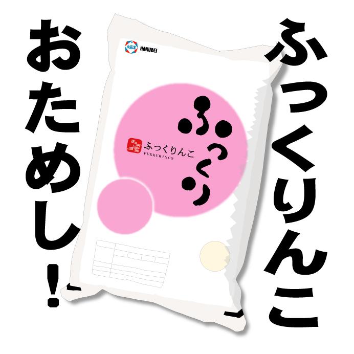 令和5年産　ふっくりんこ 精米 お試しパック　メール便　送料無料　北海道産　450g (3合)　ポイント消化 ポイント消費