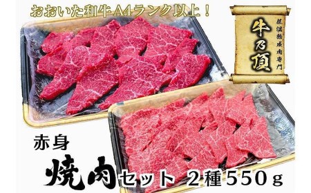 おおいた和牛 赤身 焼肉 2種セット (合計550g・特選赤身焼肉250g 赤身焼肉300g) 国産 牛肉 肉 霜降り 低温熟成 A4 和牛 ブランド牛 BBQ 冷凍 大分県 佐伯市 