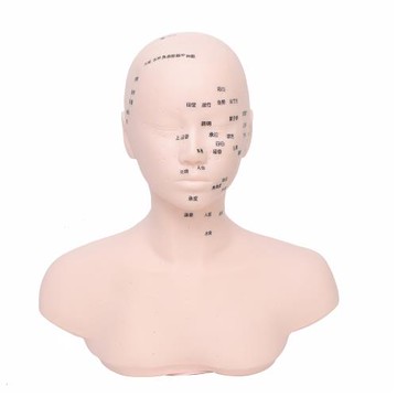 頭模按摩頭模美容院假人頭模型臉部雕刻穴位按摩手法練習模特頭