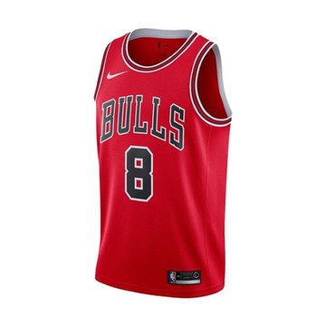 NBA NIKE SWGMN球衣 公牛隊 Zach LaVine