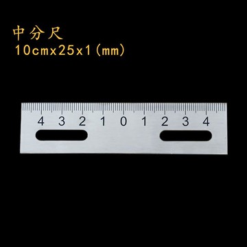 【台灣上新】中分尺 散件 刻度尺 標尺 不鏽鋼尺子 非標 尺對 稱尺 可定製/10釐米x25x1【新品折扣】
