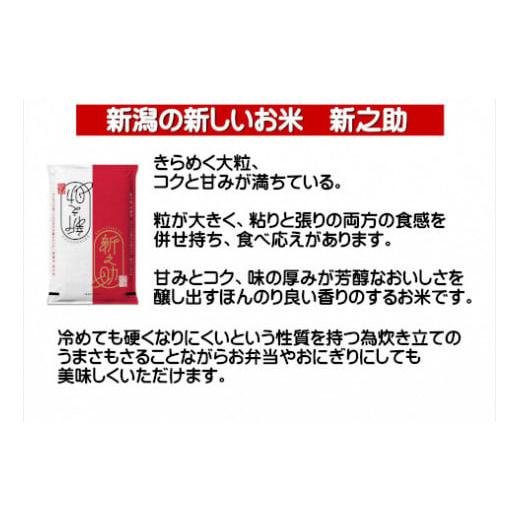 ふるさと納税 新潟県 阿賀野市 12ヶ月定期便 新之助 4kg×12回 計48kg 白米 精米 井上米穀店 1I08096