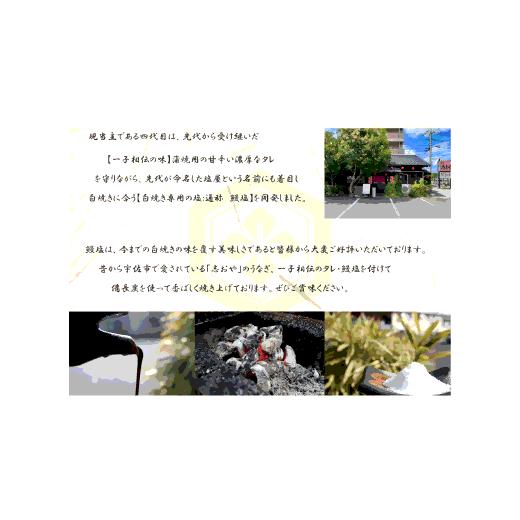 ふるさと納税 大分県 豊後高田市 志おや 九州産 うなぎ 白焼 1本  約170〜200g 塩 付