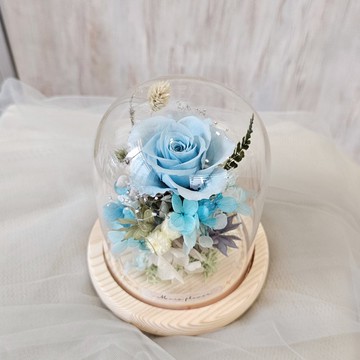 永生玫瑰玻璃罩/槽燈款 水藍色 現貨 快速出貨