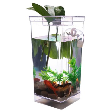 迷你懶人自動換水魚缸 透明色 桌面迷你生態  1個  12 x 10 x 25cm