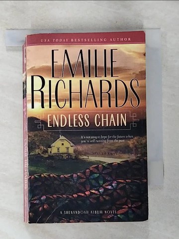 【書寶二手書T2／原文小說_S3V】Endless Chain_Richards, Emilie