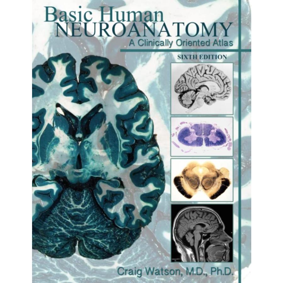 Basic Human Neuroanatomy: A Clinically Oriented Atlas