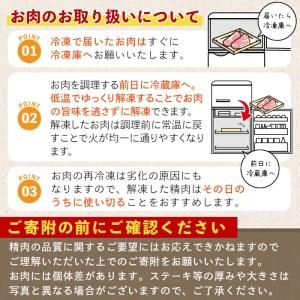 ふるさと納税 鹿児島県産黒毛和牛(A5等級)赤身ステーキ 合計600g(300g×2パック) 赤身 ステーキ 牛肉A-228 鹿児島県曽於市