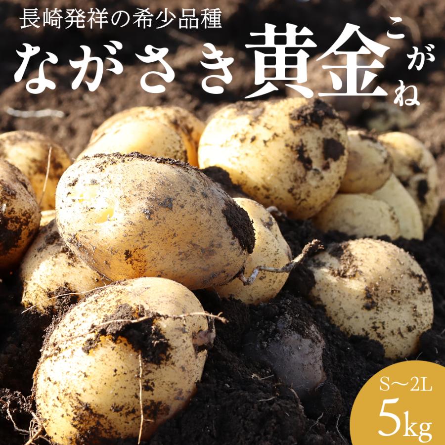 希少品種 ながさき黄金 じゃがいも 長崎県産 5kg 芋 野菜 サイズ混合 S〜2L 馬鈴薯 ジャガイモ 九州 やさい