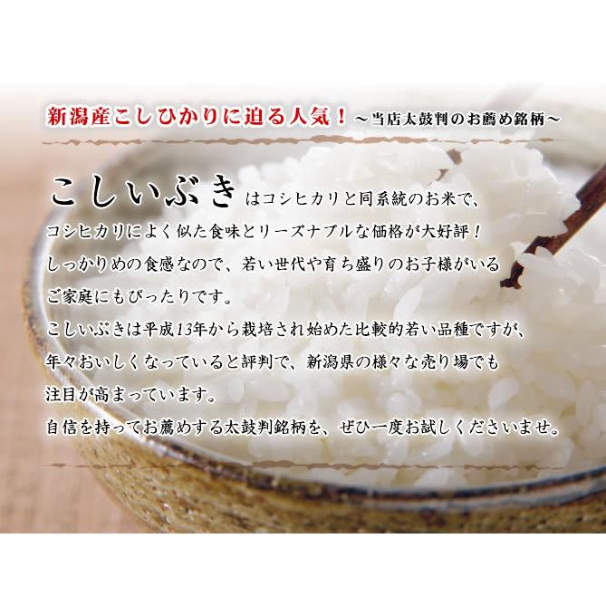 新米 無洗米 10kg 新潟産こしいぶき 吟精 令和5年産 5kg ×2)送料無料 （北海道、九州、沖縄除く）