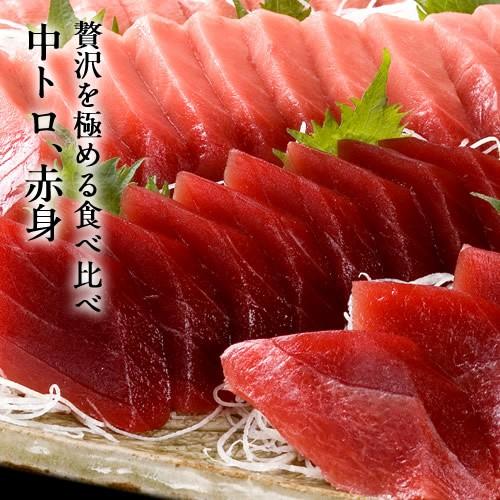 大間のまぐろ 中トロ200g、赤身200g青森県大間産 本マグロ 刺身 サク切り身 鮪 お取り寄せ 通販［お歳暮 2023 ギフト 魚 御歳暮］