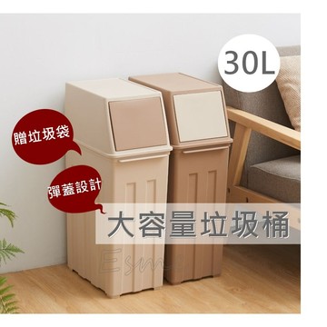 【贈垃圾袋 隔日配】大垃圾桶 廚房垃圾桶 大型垃圾桶 垃圾桶 30L 按壓垃圾桶 大容量垃圾桶 時尚垃圾桶