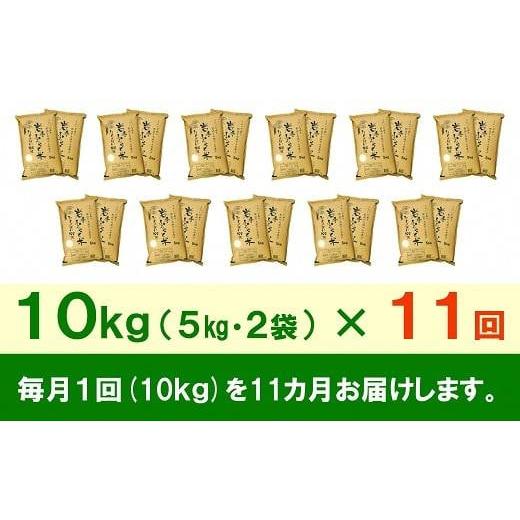 ふるさと納税 岩手県 奥州市 ☆全11回定期便☆ 岩手ふるさと米 10kg(5kg×2)×11ヶ月 一等米ひとめぼれ 令和5年産 新米  東北有数のお米の産地 岩手県奥州市産