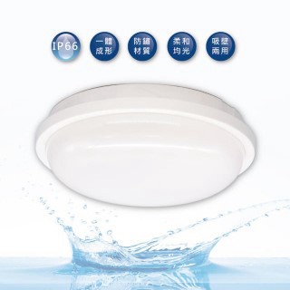 DanceLight 【LED防水吸頂燈 16W 】  壁燈 戶外 吸頂燈 IP66 黃光 白光 可裝戶外 陽台 浴室