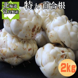 ゆり根　北海道富良野産　秀品 百合根 特大 2kg 10玉前後 送料無料 別途送料が発生する地域がございます